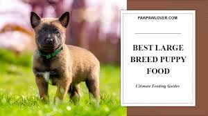 10 Best Large Breed Puppy Foods With Our Most Affordable Pick Large Breed Puppy Food Puppy Food Puppies