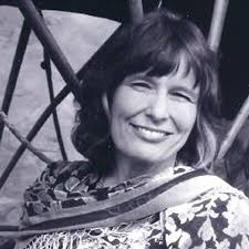 The Hummingbird Wizard: Blevins, Meredith: 9780765307699: Amazon.com: Books