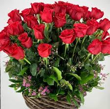 Profile for Terra Flora