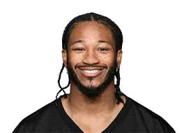 Mountaineers in the NFL