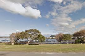 2021 bledisloe cup fixtures eden park in new zealand will be the venue for the first bledisloe test match between australia and new. Sunlive Witnesses Describe Little Waihi Free Diver Rescue The Bay S News First