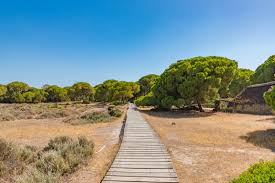Read hotel reviews and choose the best hotel deal for your stay. 24 Tagesausfluge Von Sevilla Strande Palaste Natur Tourscanner