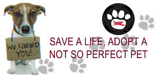Proof of vaccinations is required. Eyeland Optical Serving The Community Since 1986 Animal Rescue