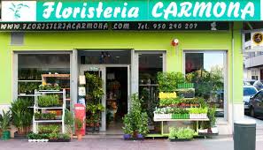 Floristería Carmona