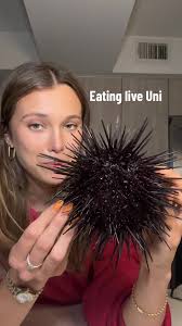 *Sea urchins are actually not an invasive species but the population is  growing so large in CA that they are annihilating the bull kelp forrests.  #uni #seaurchin #japanesefood #food #seafood ...