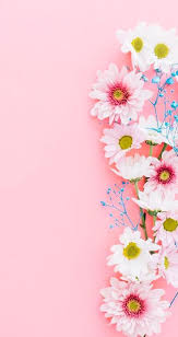 Wallpaper Iphone In 2020 Flower Background Wallpaper Pink Wallpaper Iphone Pretty Wallpaper Iphone