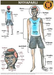 • types of hairstyles in english. Nyiyaparli Body Parts Chart For Kids Wangka Maya Pilbara Aboriginal Language Centre