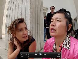 Tijana Miskovic curator and artist Hito Steyerl during wee…