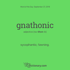 Word Of The Day Gnathonic Dictionary Com Words Uncommon Words Slang Words