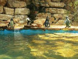 Good availability and great rates. Tisch Family Zoological Gardens Picture Of Tisch Family Zoological Gardens Biblical Zoo Jerusalem Tripadvisor