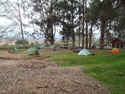 We love staying at the morro bay state park campground. Camping In Morro Bay