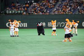pin by ｎｏ ｋａ on ゆるキャラ yurukyara soccer field haha soccer