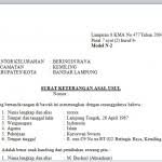 Setiap anak diberikan 1 rumah. Contoh Surat Keterangan Hibah Tanah Surat Keterangan