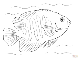 Rainbow fish coloring pages for preschoolers. Tropical Fish Coloring Pages Google Search Desenho Mar Desenhos Animados Bonitinhos Desenho Estilizado