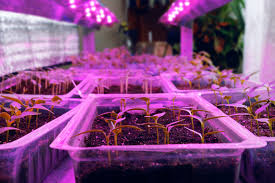 The lowest and highest value should not be far apart, because high peaks of light also come with high peaks of radiant heat. Led Grow Lights Know The Truth Vs The Enormous Hype