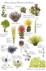 Flower Names By Color Flower Names Types Of Flowers Ivory Flowers