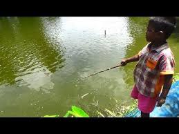 Check spelling or type a new query. Best Fishing Video Kids Fishing By Daily Village Life Part 58 Youtube Fishing Videos Village Life Kids Fishing