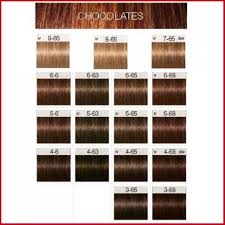 28 Albums Of Igora Royal Hair Colour Chart Explore