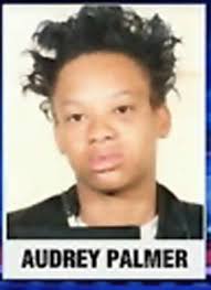 Washington DC detective fills in details about Audrey Palmer case