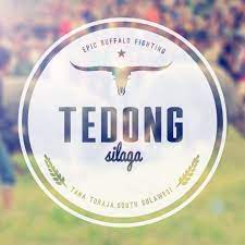 Download wallpaper aesthetic black hd. Tedong Silaga Tana Toraja Desain