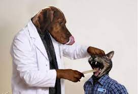 We did not find results for: Pet Clinic Of Brownsburg