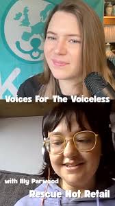 ‘Lucy’s Law’ was a small step forward for dogs and cats, but there is yet  to be an overarching legislation to protect the millions of other animals  who are bred and sold in pet shops every year., ...