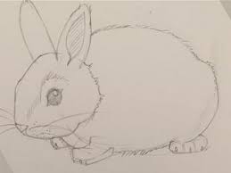 How to draw rabbit easy and step by step learn drawing with draw easy. How To Draw A Baby Bunny Youtube