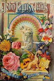 New Rare And Beautiful Flowers John Lewis Childs Firm Free Download Borrow And Streaming Internet Archive Vintage Seed Packets Floral Prints Art Vintage Flowers