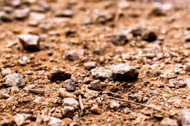 Places in the city, places in town, vocabulary, grocery. How To Get Free Rocks For Your Garden