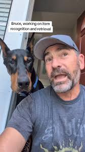 What is it like having a Doberman? having a high energy working dog is more  than just providing physical exercise. Mental exercise is just as important  and is actually more exhausting to them. we work ...