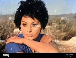 Loren sophia hi-res stock photography and images