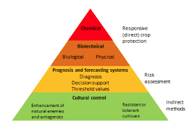 Integrated pest management system for kennesaw state university kennesaw, georgia prepared january 1997 revised november 2006 table of contents introduction and principles of integrated pest management. An Introduction To Integrated Pest Management Ipm Ecosystems United