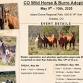 Wild Horse Adoption Event