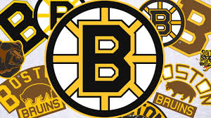 Show off your brand's personality with a custom bear logo designed just for you by a professional designer. Boston Bruins Primary Logo Sports Logo History