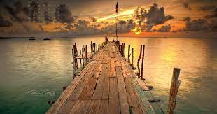 Tons of awesome backgrounds for computer screen free to download for free. On This Page You Can Download The Most Beautiful Desktop Wallpapers Of Pexels Her Free Desktop Wallpaper Summer Desktop Backgrounds Free Wallpaper Backgrounds