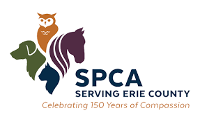 Something For Them Something For You Bring In Any Gently Used Blanket Sunday September 24th Until Saturday September 30th A Spca Donation Drive Erie County