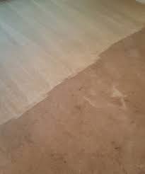 Visit today & quickly get more results on fastquicksearch.com! Carpet Cleaning In Piedmont Triad Nc Triad Carpet Guys