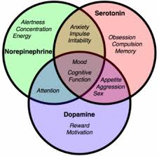 Antidepressants Types And Selection Gateway Psychiatric