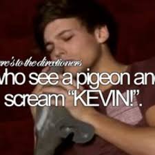 KEVIN THE PIGEON