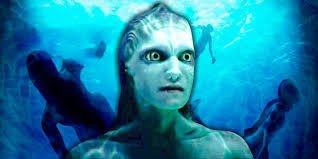 Image result for real mermaid