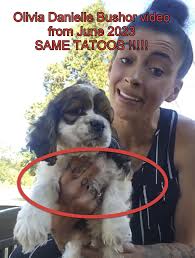 Companions for Justice