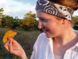 Image result for Ochna katangensis