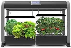 Do you love the professional approach that aerogarden models offer to help you grow herbs at home? How Much Does It Cost To Run An Aerogarden Real Cost Examples Victorygarden Blog