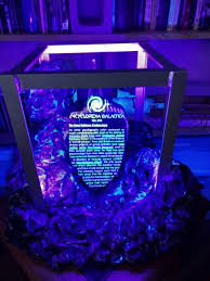 Amanda knox is getting married in 40 days — and she's wearing her trusty old prison uniform to prepare for it. Amanda Knox Responds To Backlash Over Crowdfunded Space Themed Wedding