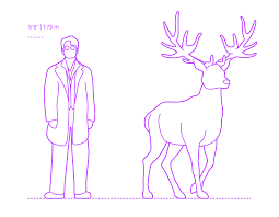 *covering face* stop you're embarrassing me. James Potter Dimensions Drawings Dimensions Com