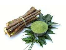 Neem Leaves: Traditional wisdom: How having neem leaves ...