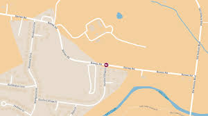 猫 肛門 腺 臭い.