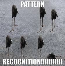 Image result for tbn:ANd9GcSHbzXs1kessAqDv7vBRCjqGb5EOeKOyWWMr8QKkcYGZeP2G5KpJA