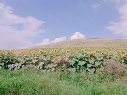 Maybe you would like to learn more about one of these? Chokemeberry79 Tumblr Blog Tumgir