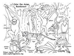 Select from 36050 printable crafts of cartoons, nature, animals, bible and many more. Pin By Exploring Nature Eduational Re On 1st Grade Art Lesson Ideas Animal Coloring Pages Jungle Coloring Pages Animal Coloring Books